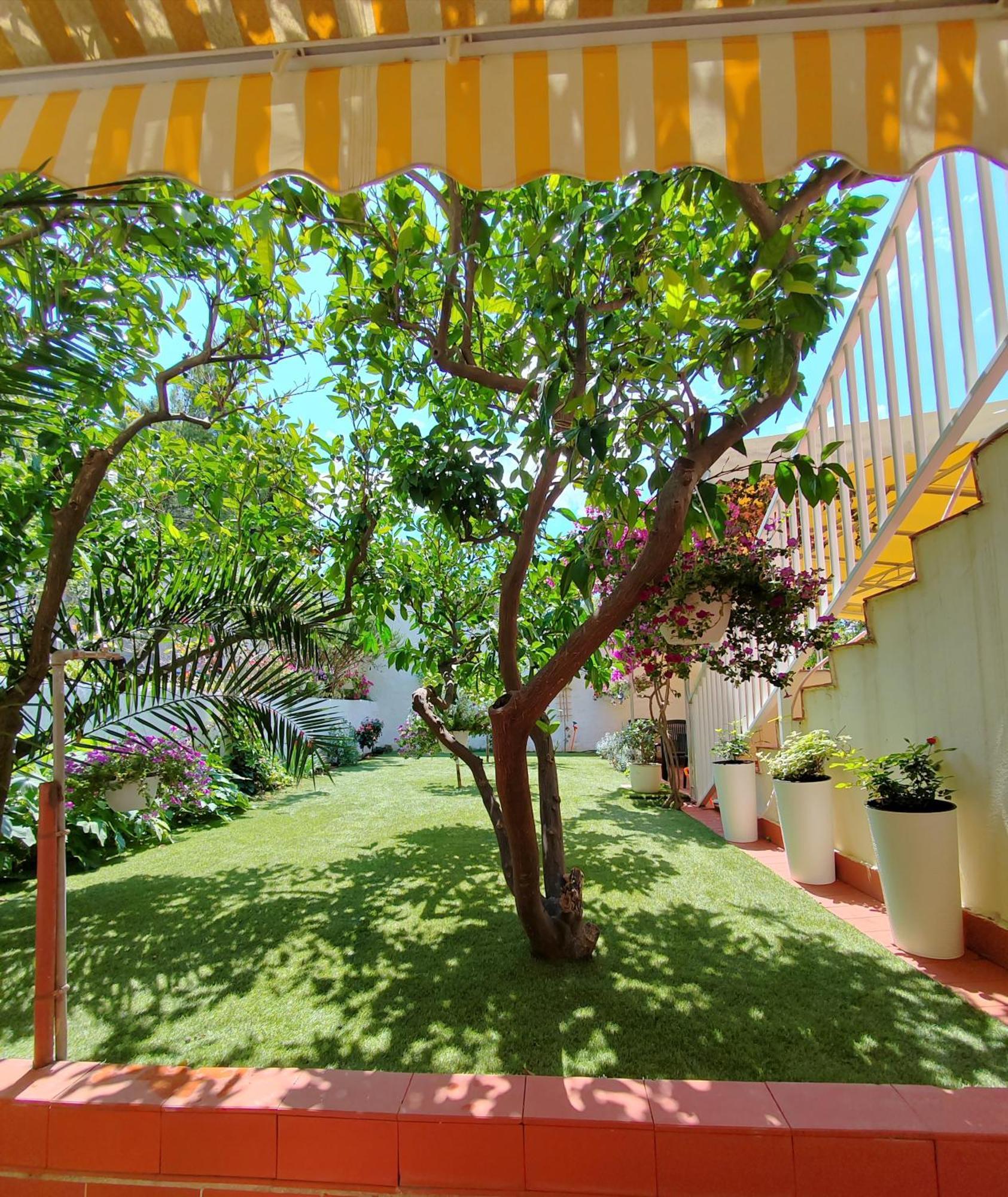 Apartments Gareta Gradac (Split-Dalmatia) Exterior foto